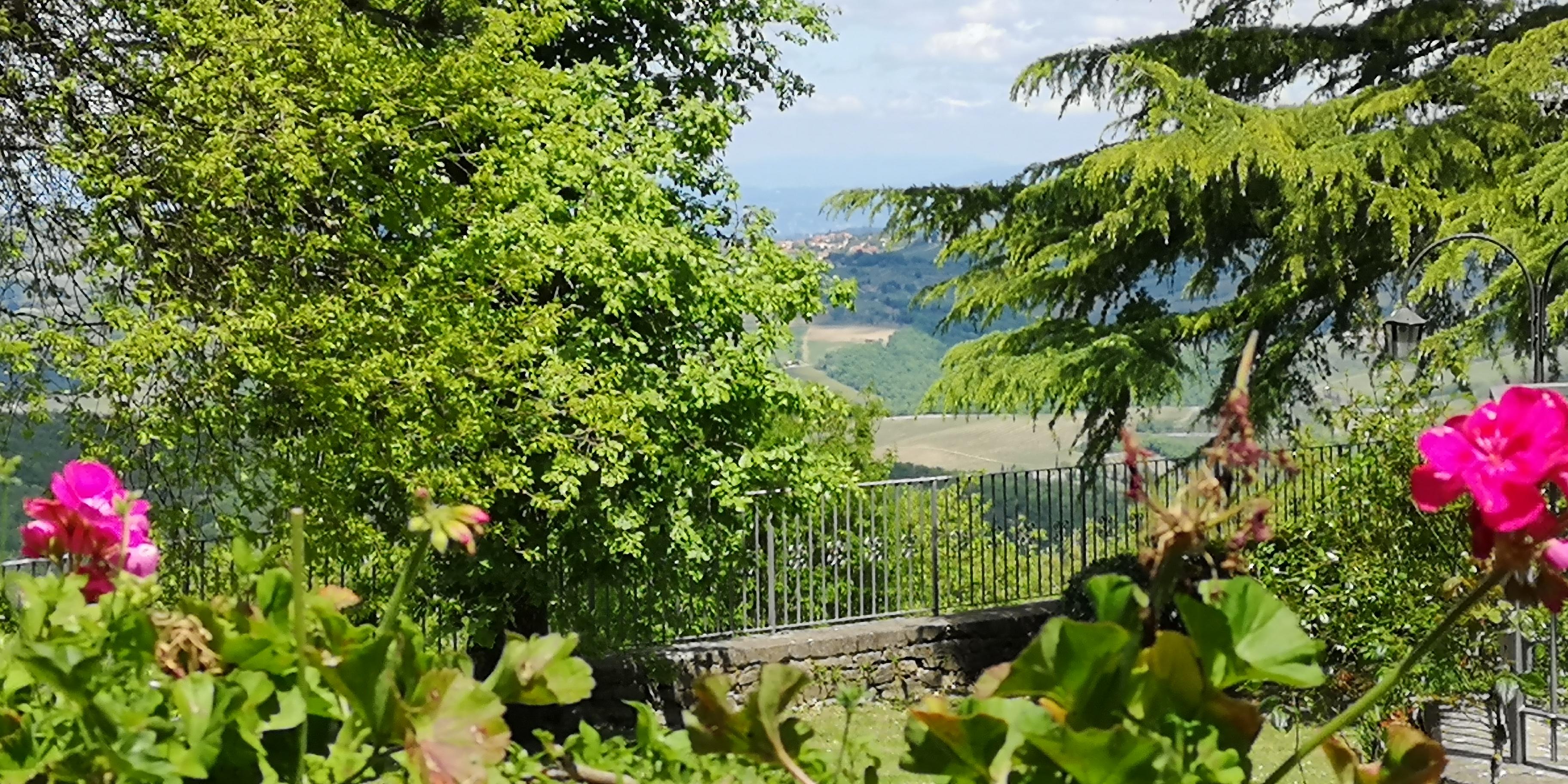 Villa Sant'Uberto Country Inn Radda in Chianti Exterior foto