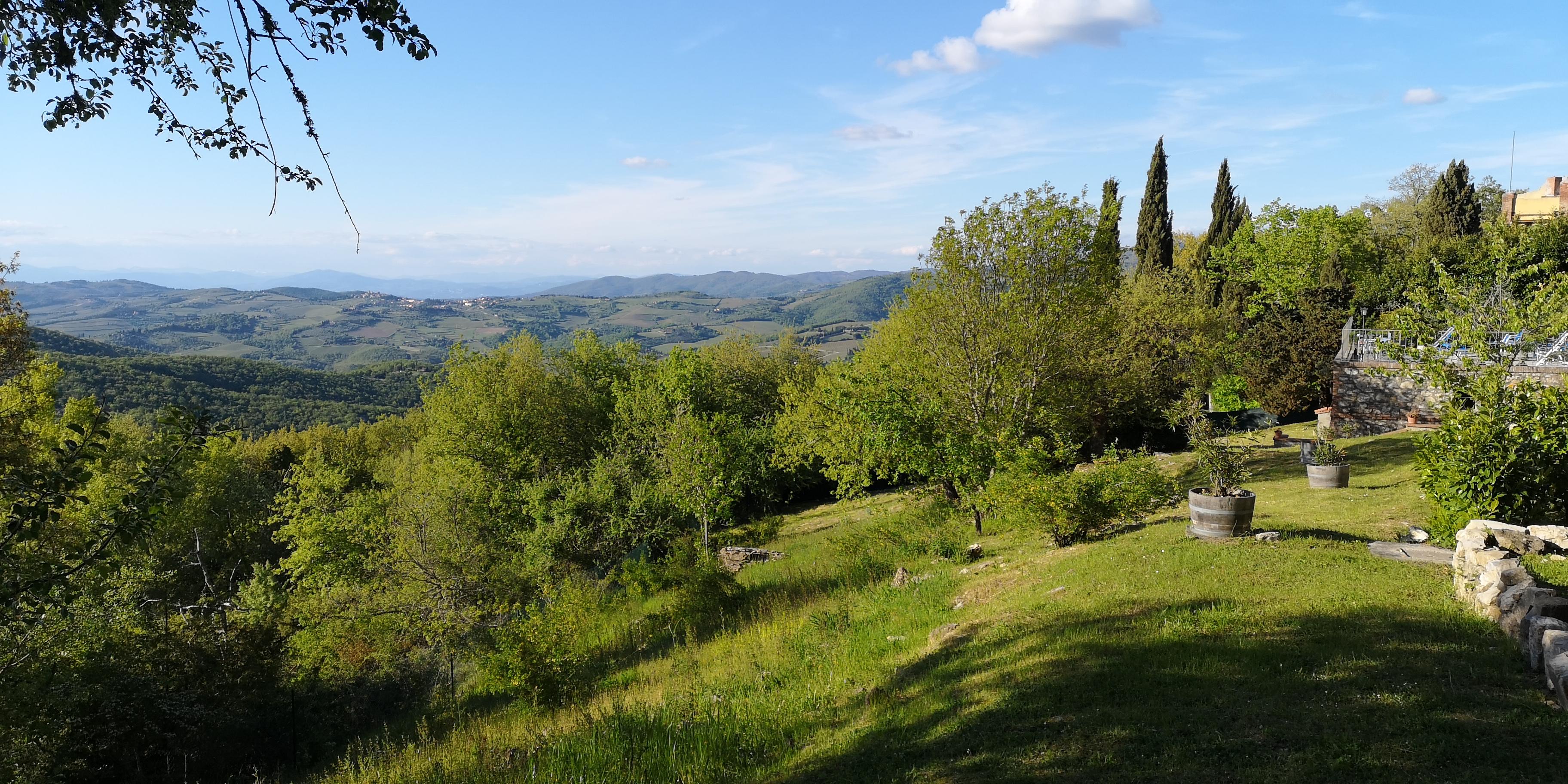 Villa Sant'Uberto Country Inn Radda in Chianti Exterior foto